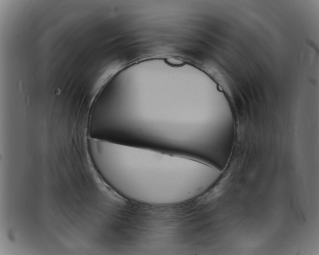 X0000097750954200803070839