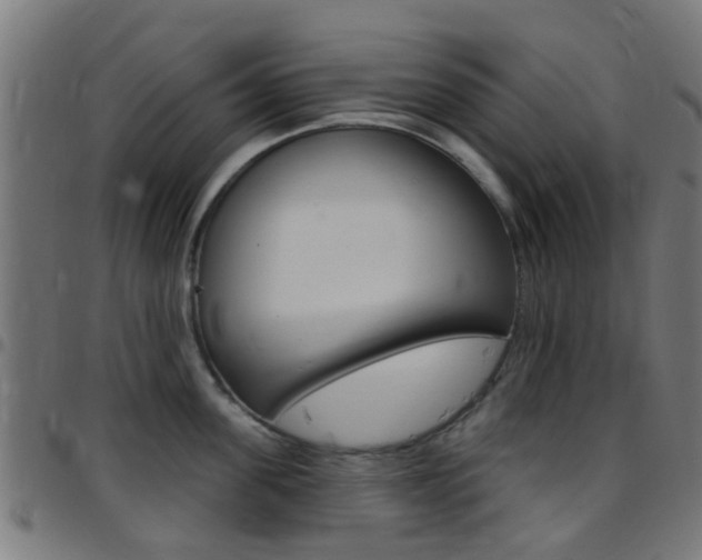 X0000097750955200803070839