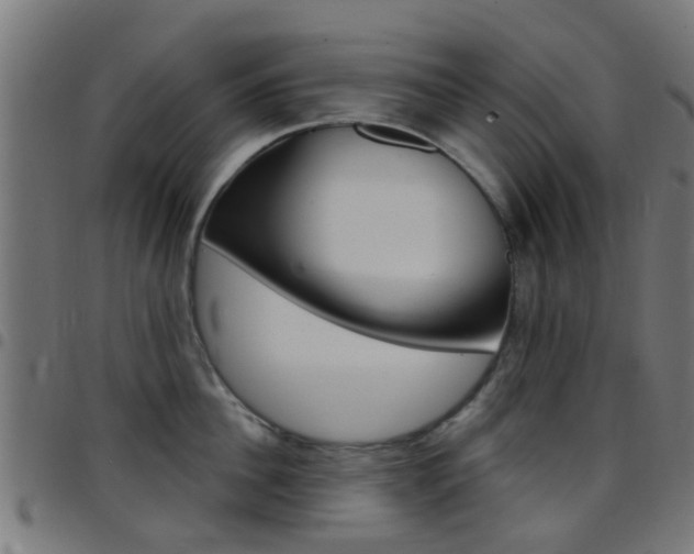 X0000097750956200803070839