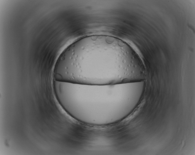 X0000097750957200803070839