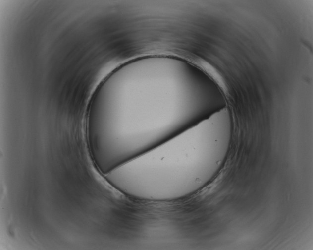 X0000097750958200803070839