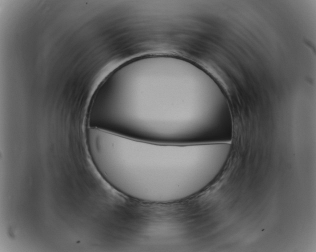 X0000097750959200803070839