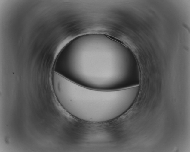 X0000097750960200803070839