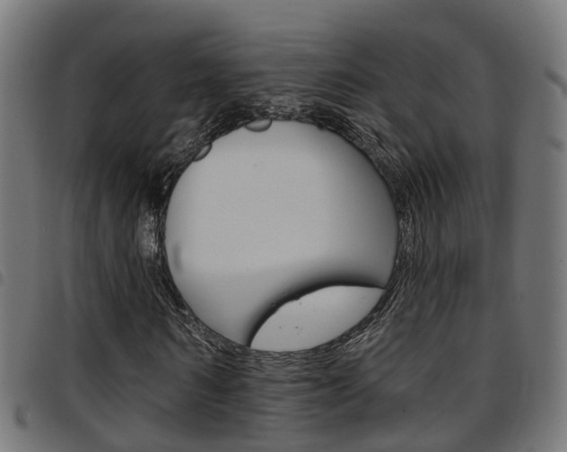 X0000097750962200803070838