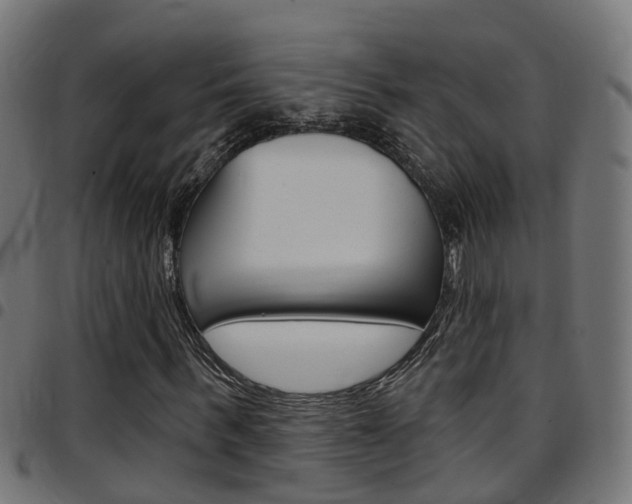 X0000097750963200803070838