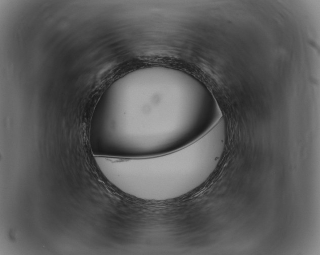 X0000097750965200803070838
