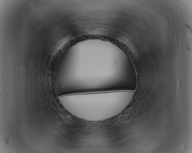 X0000097750968200803070838