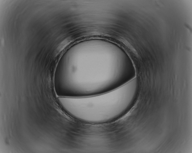 X0000097750969200803070838
