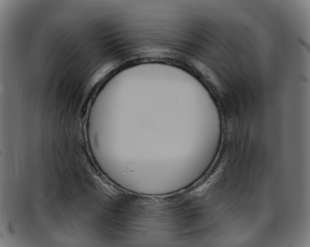 X0000097750970200803070838