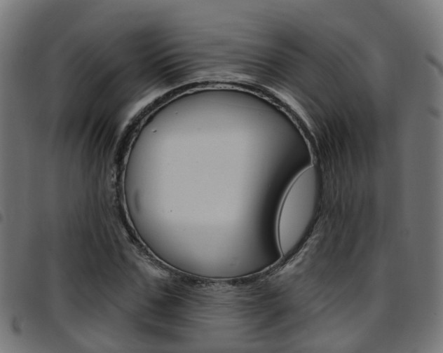 X0000097750971200803070838