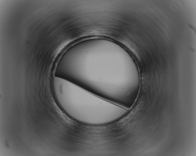 X0000097750972200803070838