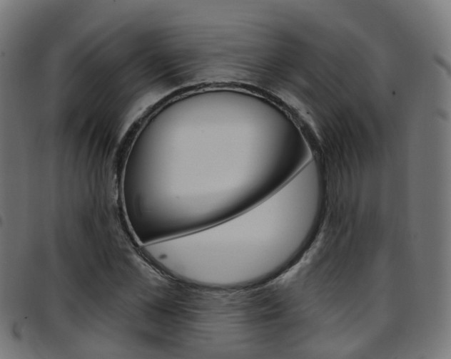 X0000097750973200803070838