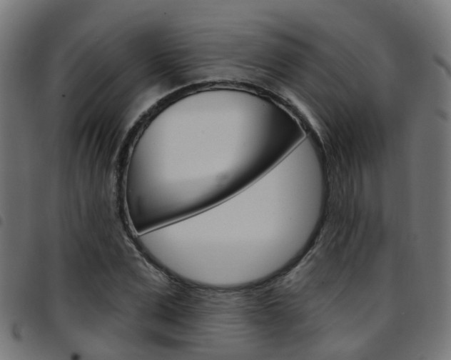 X0000097750975200803070838
