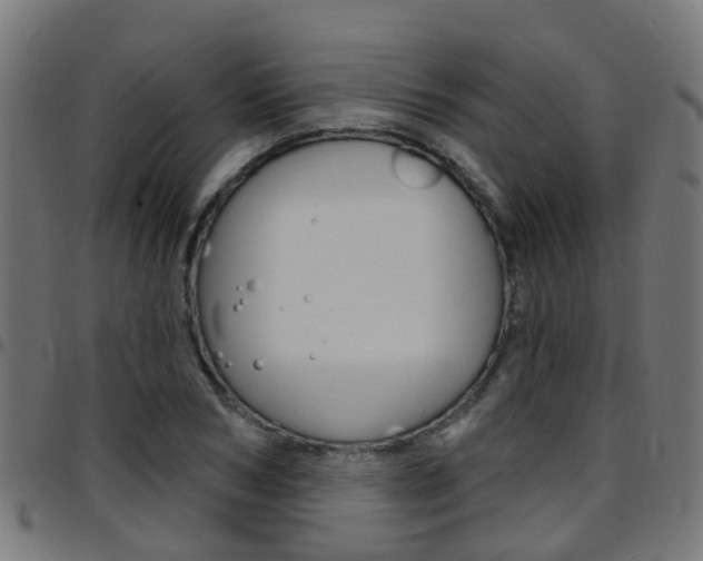 X0000097750978200803070838