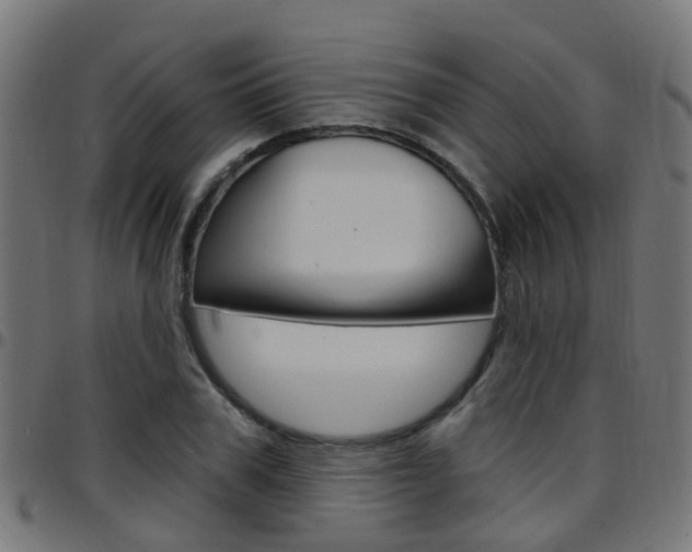 X0000097750979200803070838