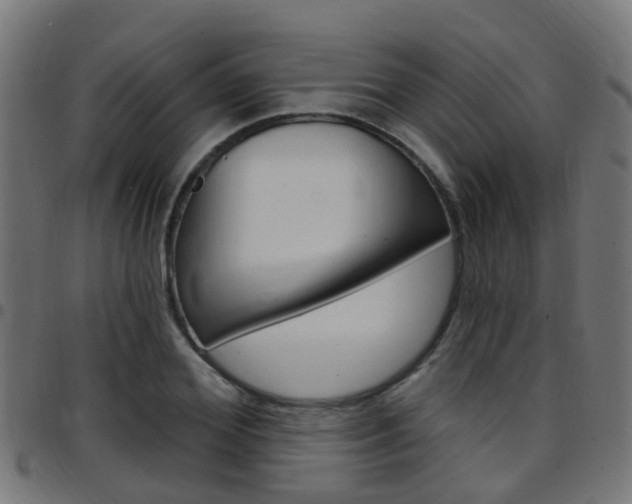 X0000097750980200803070838