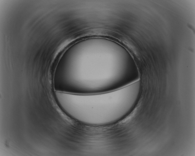 X0000097750981200803070838