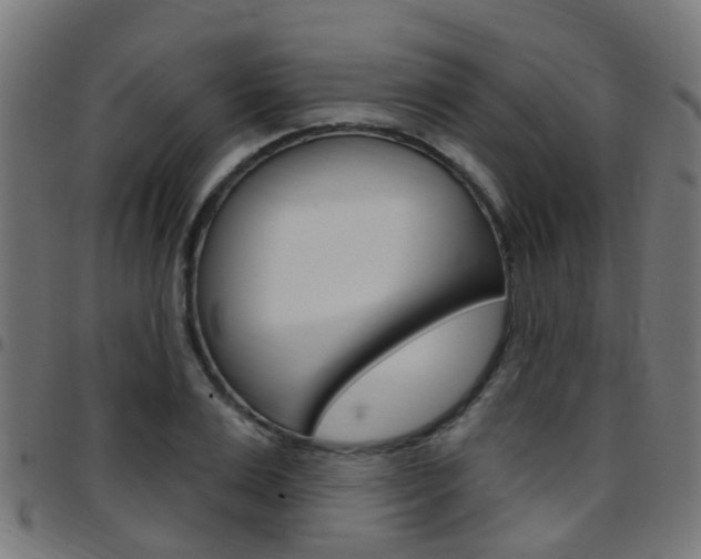 X0000097750983200803070838