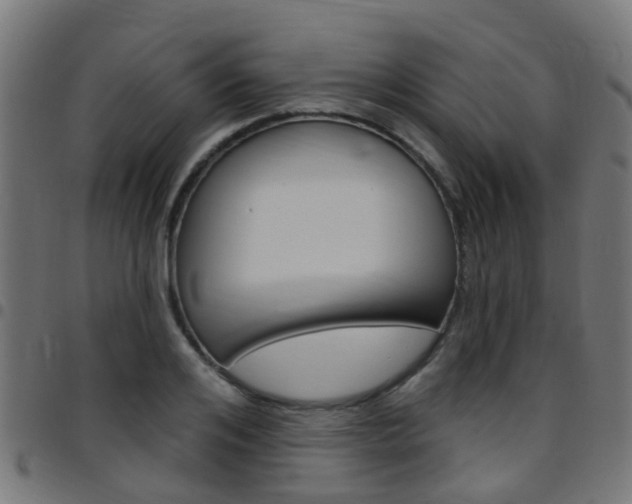 X0000097750984200803070838