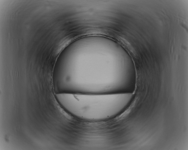 X0000097750985200803070838