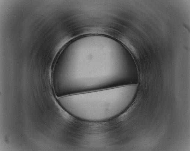 X0000097750988200803070838