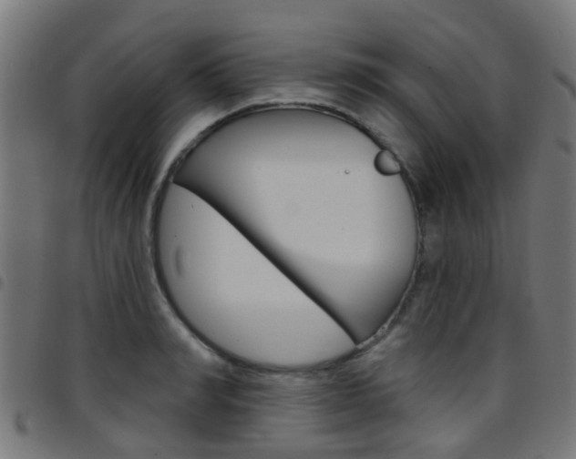 X0000097750990200803070838