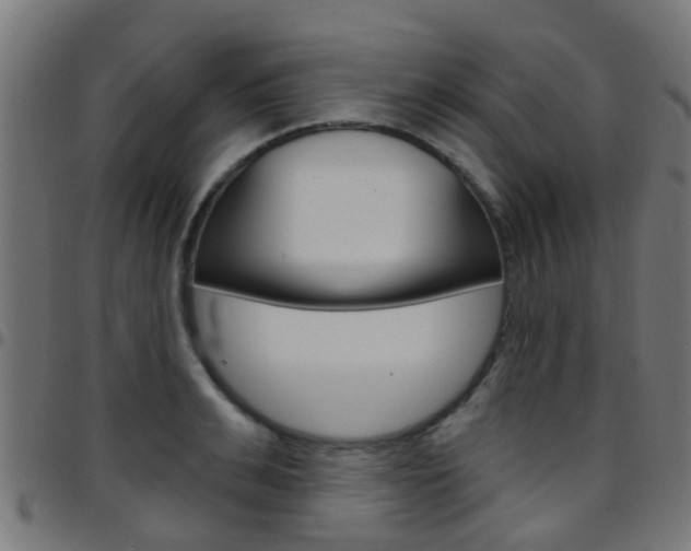 X0000097750991200803070838