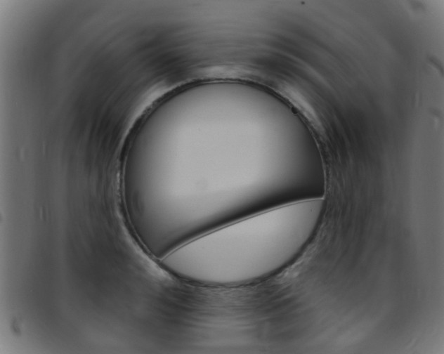 X0000097750992200803070838