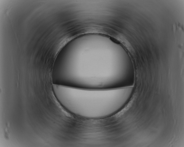 X0000097750993200803070838
