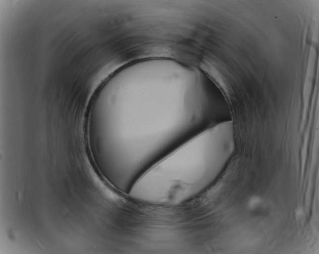 X0000097750995200803070838