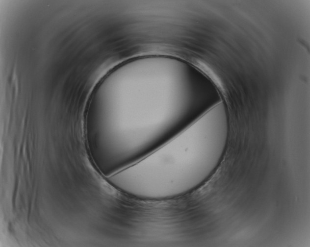 X0000097750996200803070838