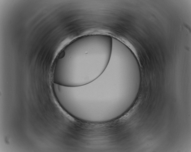 X0000097750997200803070838