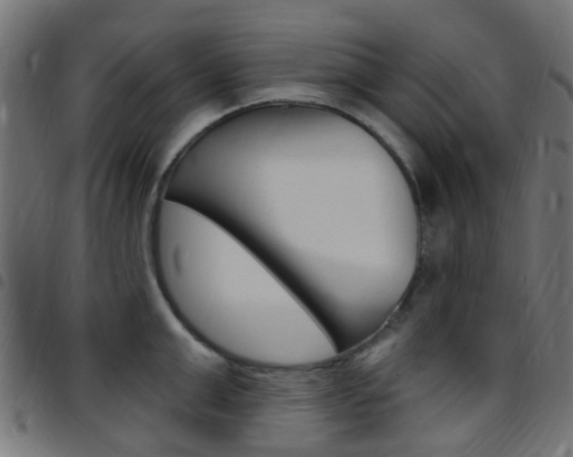 X0000097750999200803070838