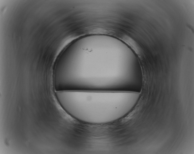 X0000097751000200803070838