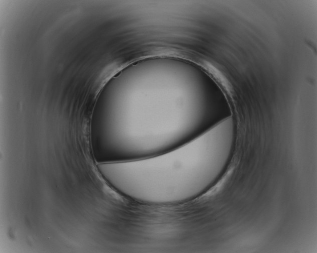 X0000097751001200803070838