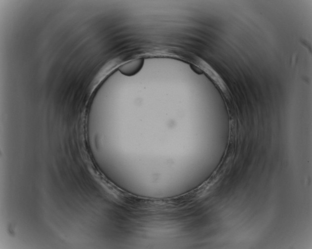 X0000097751002200803070838