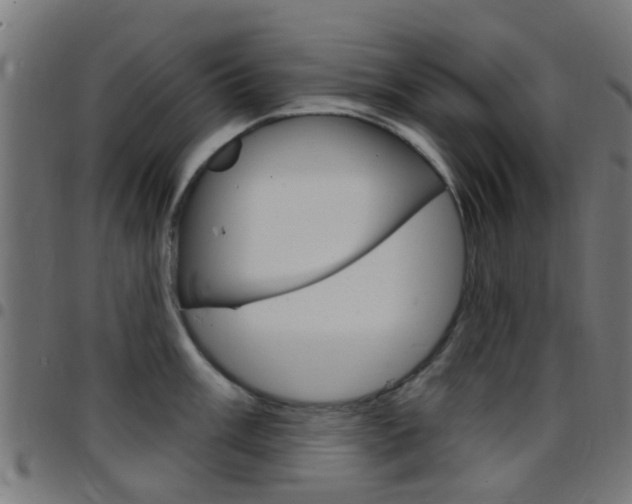 X0000097751003200803070838