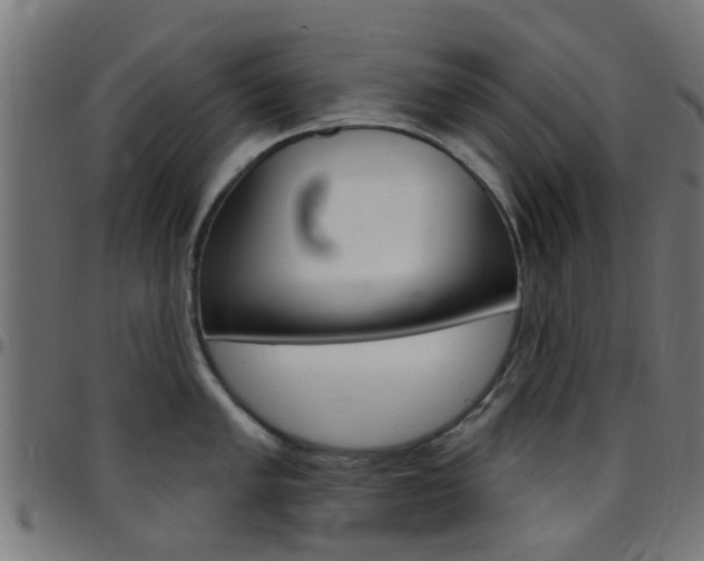 X0000097751005200803070838