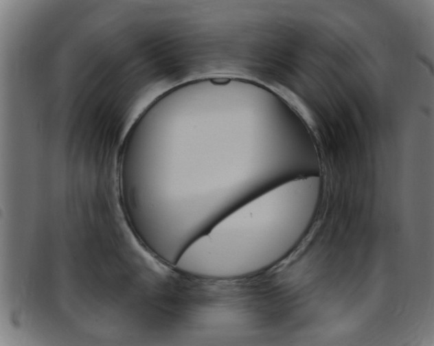 X0000097751006200803070838