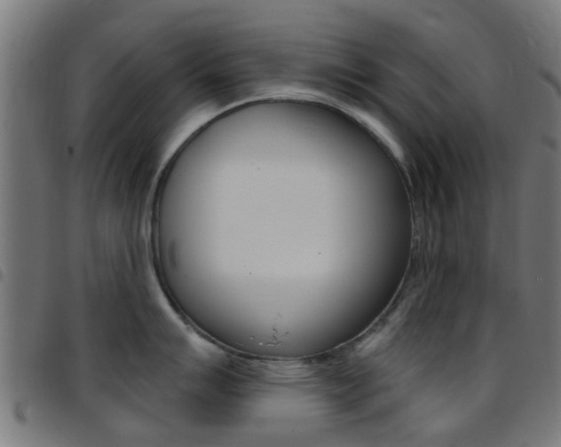 X0000097751007200803070838