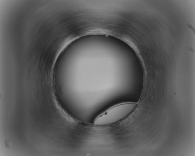X0000097751008200803070838
