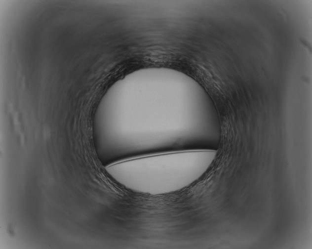 X0000097751009200803070837