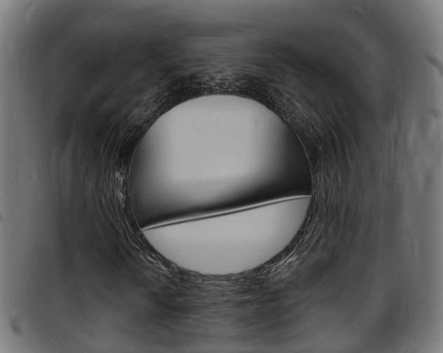 X0000097751010200803070837