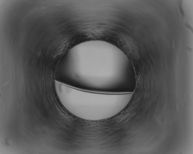 X0000097751012200803070837