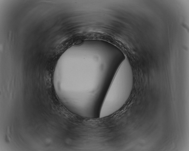 X0000097751013200803070837