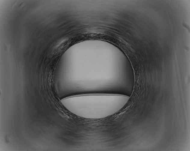 X0000097751014200803070837