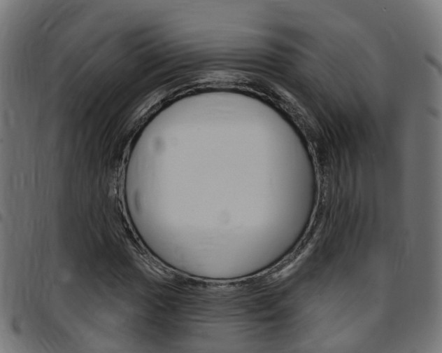 X0000097751017200803070837