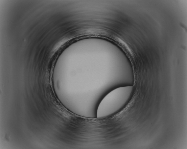 X0000097751019200803070837