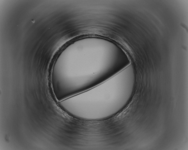 X0000097751020200803070837