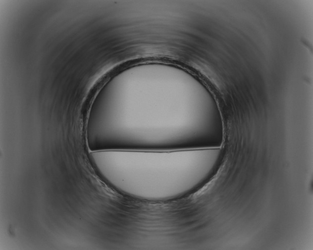 X0000097751021200803070837